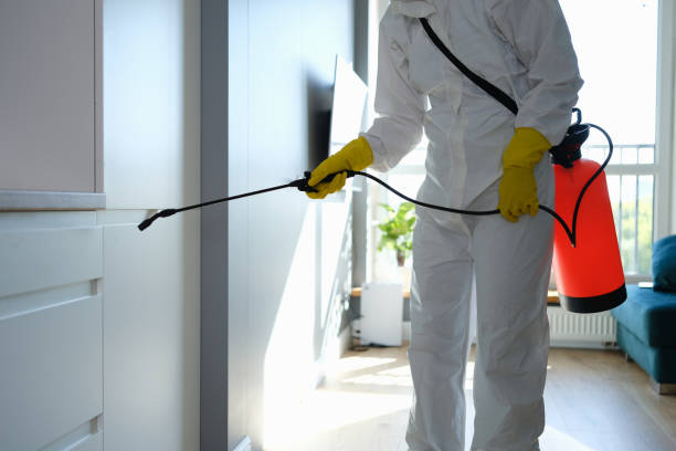 Best Emergency Mold Removal  in Albany, TX