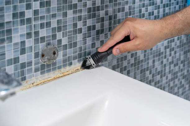 Best Commercial Mold Removal  in Albany, TX