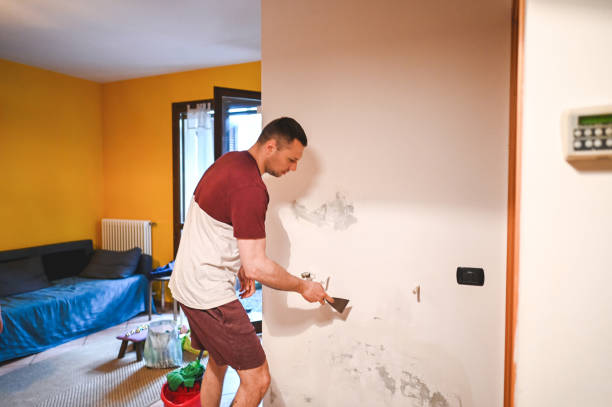 Best Water Damage Restoration  in Albany, TX